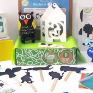 green kid crafts Nocturnal Animals adobespark 1
