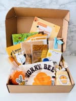 947 monthly box for baby toddler and kids
