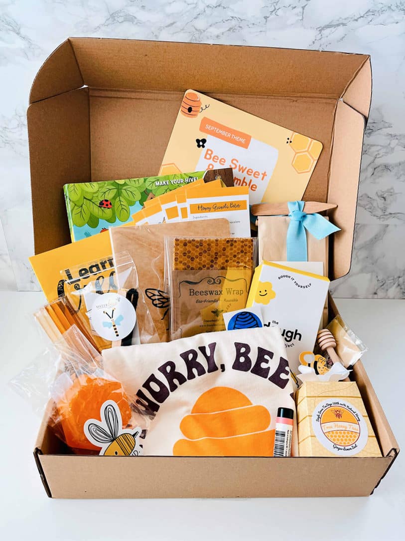 947 monthly box for baby toddler and kids