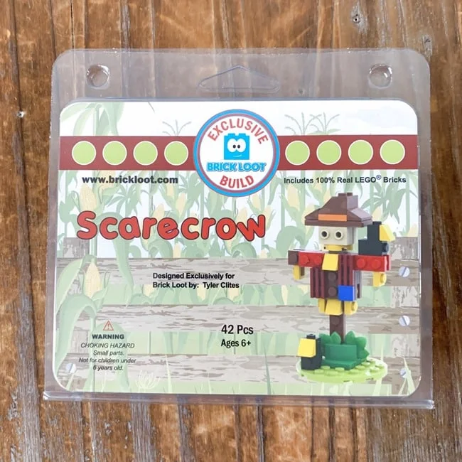 Brick Loot January 2022 Review   Coupon 002