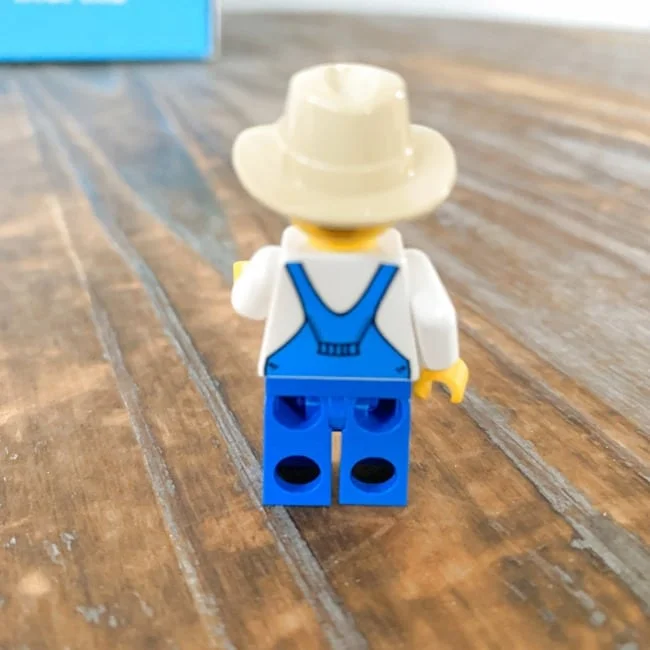 Brick Loot January 2022 Review   Coupon 007