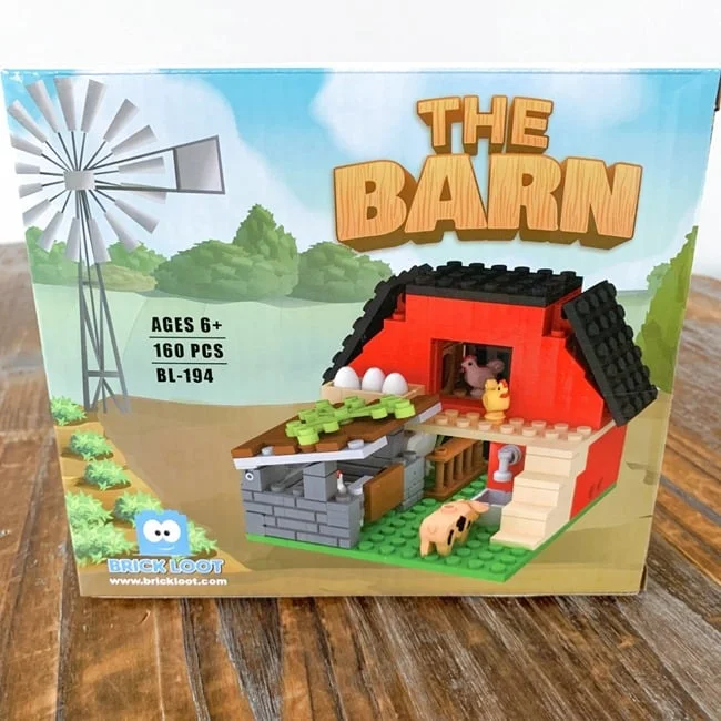 Brick Loot January 2022 Review   Coupon 011