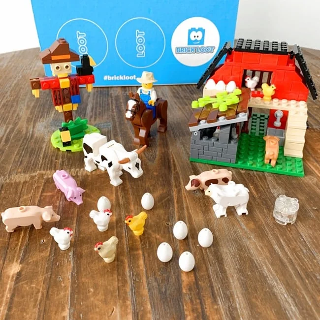 Brick Loot January 2022 Review   Coupon 020