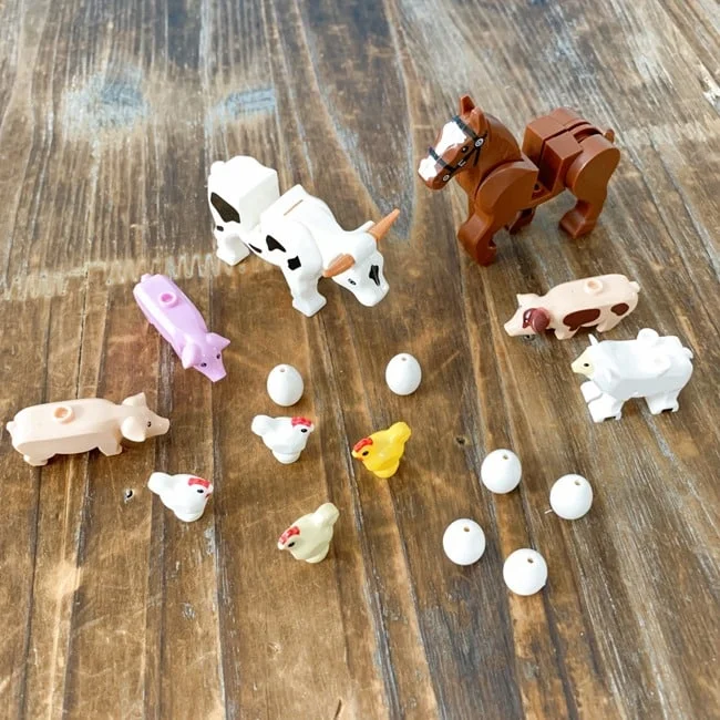 Brick Loot January 2022 Review   Coupon 022