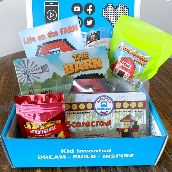 Brick Loot January 2022 Review   Coupon 027