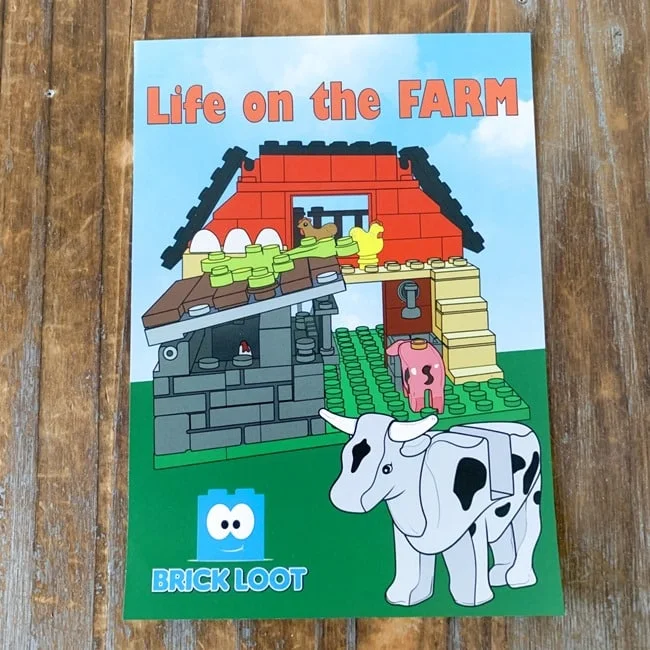 Brick Loot January 2022 Review   Coupon 028
