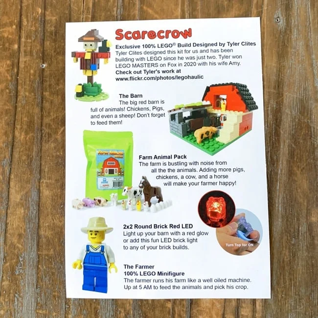 Brick Loot January 2022 Review   Coupon 029