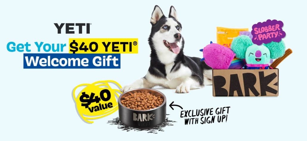 bark box january 2021 deal get a free yeti dog bowl 40 value with a 3 month subscription
