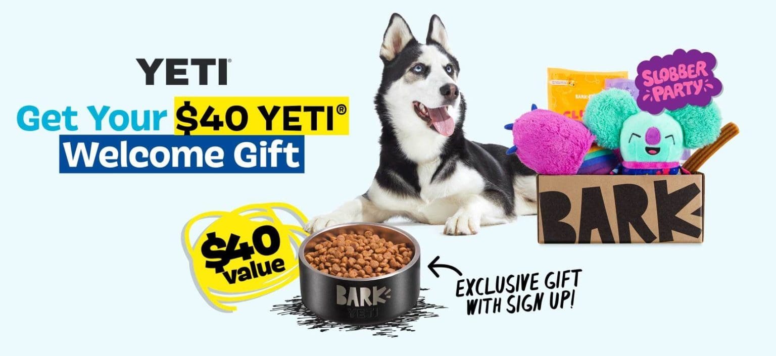 Bark Box January 2021 Deal Get a FREE Yeti Dog Bowl (40 Value) With