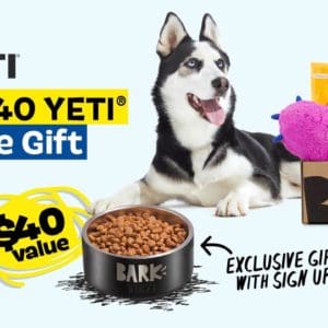 bark box january 2021 deal get a free yeti dog bowl 40 value with a 3 month subscription