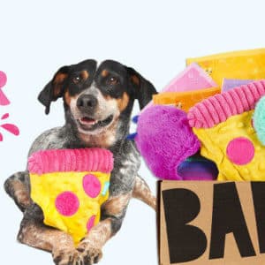 barkbox january 2022 spoilers double your first box deal