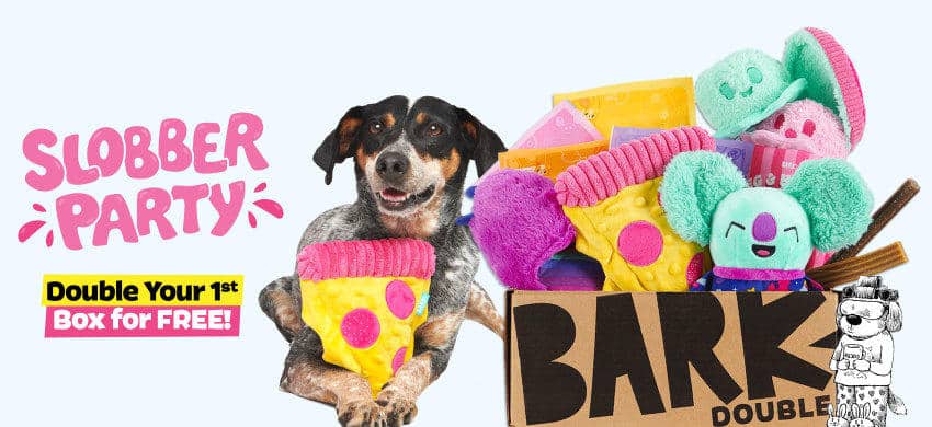 barkbox january 2022 spoilers double your first box deal