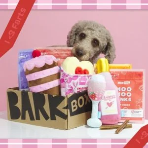 BB DD SweetiePie 0222 Barkpost