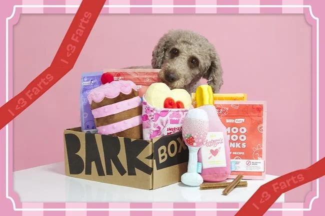 BB DD SweetiePie 0222 Barkpost