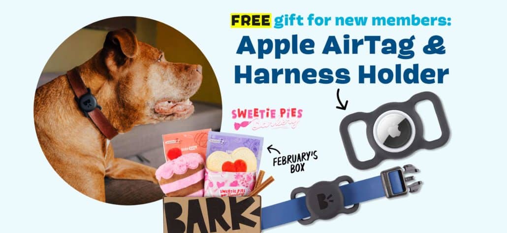 bark box february 2022 deal get a free apple airtag harness holder