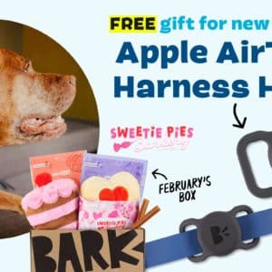 bark box february 2022 deal get a free apple airtag harness holder