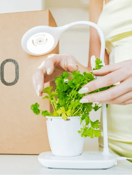 Grow Pad Mini Set
