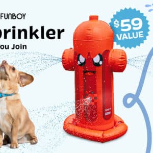 bark box july 2022 deal get a free fun boy sprinkler 59 value