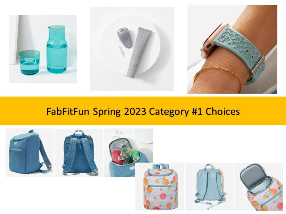 FabFitFun Spring 2023 Customization #1 Choices FabFitFun Spring 2023 Customization #1 Choices