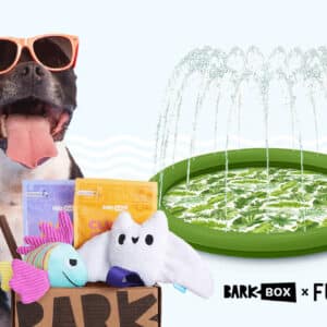 barkbox may 2023 deal get a free funboy water toy with a multi month plan