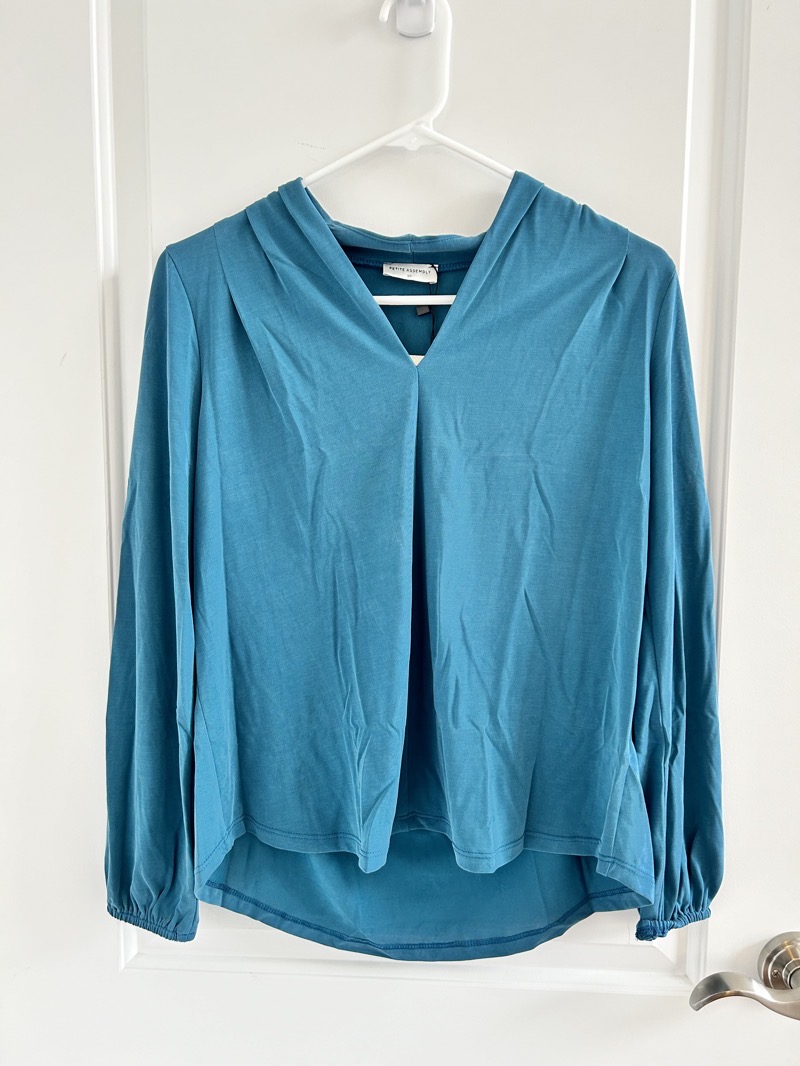 PETITE ASSEMBLY Pamina Cupro Vneck Popover in Teal